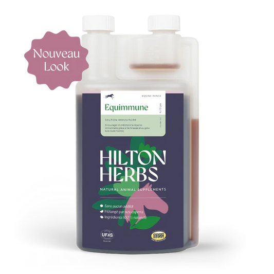 HILTON HERBS Equimmune Gold 1l