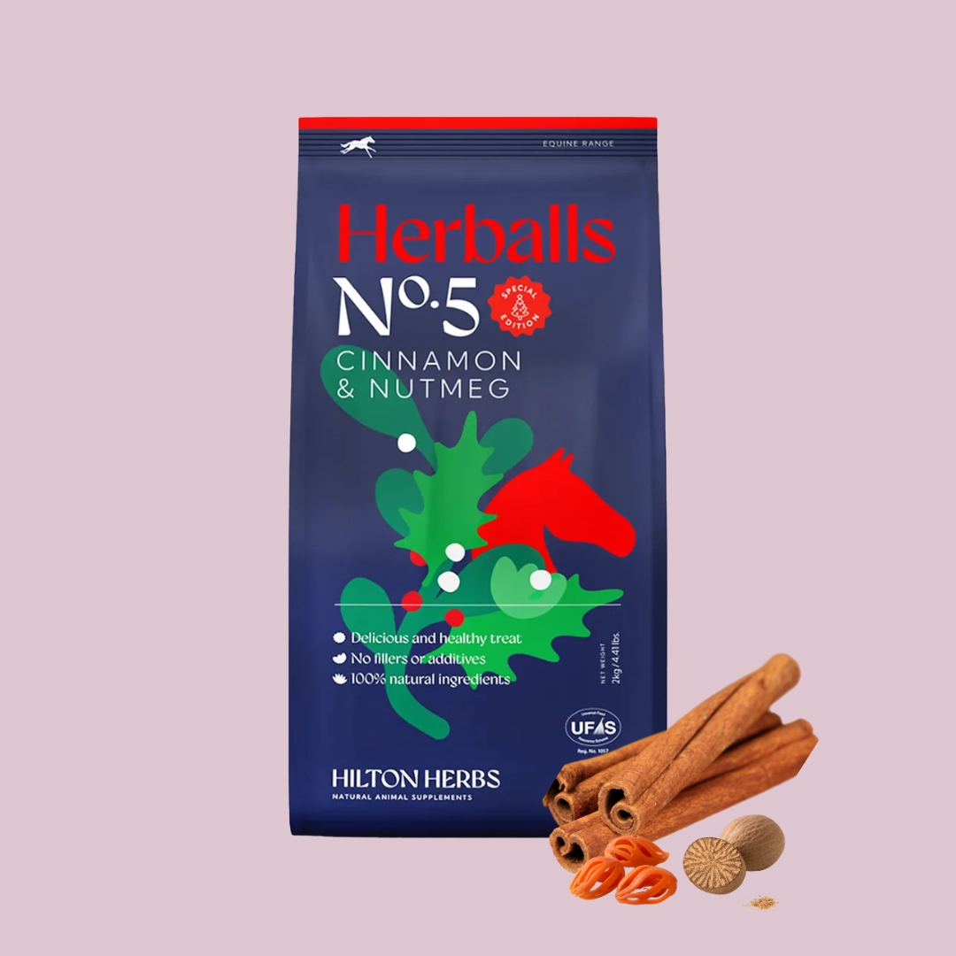 HILTON HERBS priboljški z okusom cimeta -Special edition-2 kg