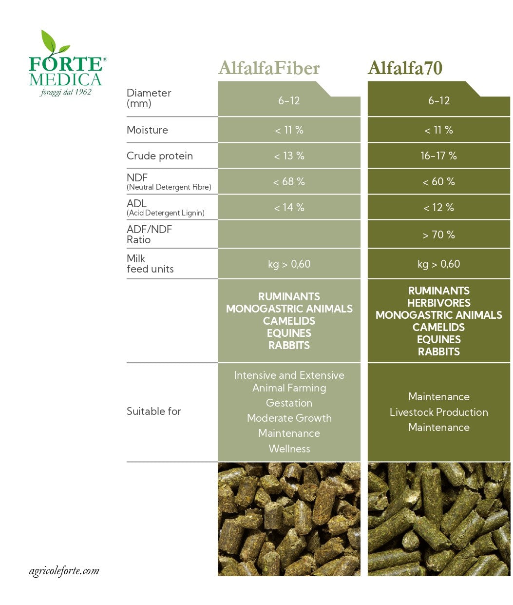 LUCERNA V PELETIH (ALFA ALFA) 25kg