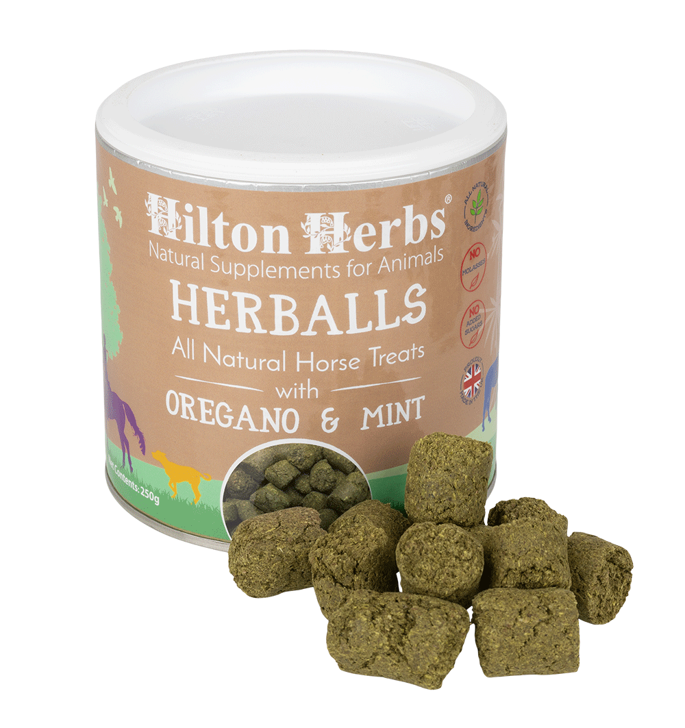 HILTON HERBS Herballs N°. 1 Oregano & Mint