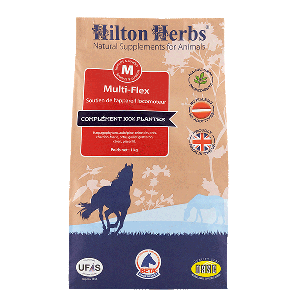 HILTON HERBS Multi Flex- za sklepe 1kg