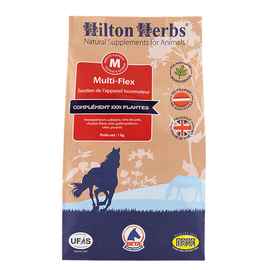 HILTON HERBS Multi Flex- za sklepe 1kg