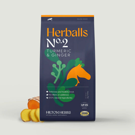 HILTON HERBS Herballs N°. 2 Turmeric & Ginger 1kg