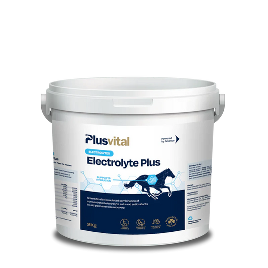 PLUS VITAL Elecytrolite Plus 2kg - Za hitro okrevanje po naporu in podpora mišicam