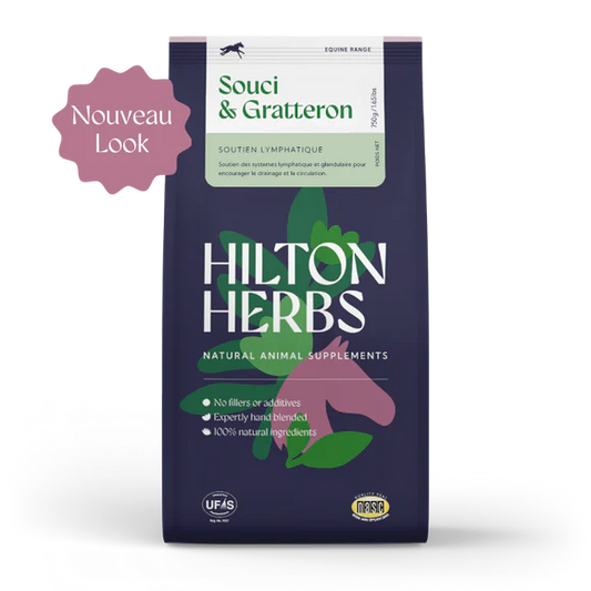 HILTON HERBS Leg relief