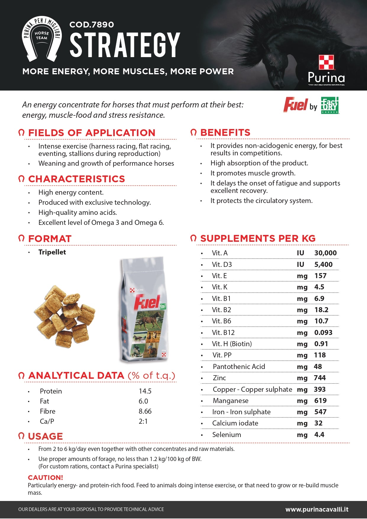 STRATEGY PURINA 25kg