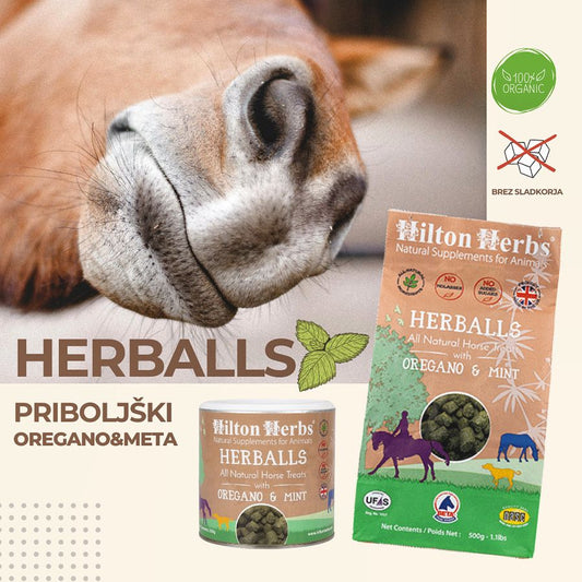 HILTON HERBS Herballs N°. 1 Oregano & Mint