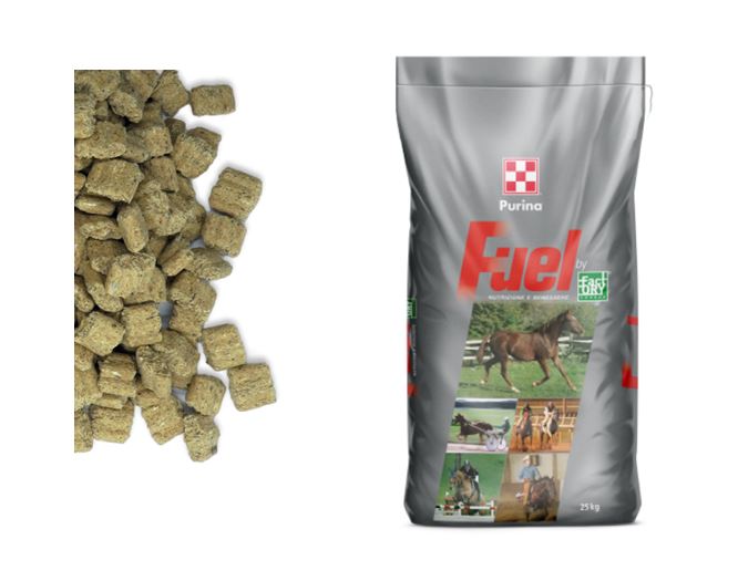 STRATEGY PURINA 25kg