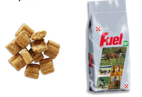 HORSE RIDER PURINA 25kg